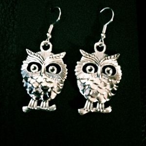 NWT Owl Drop Earrings